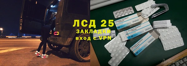 дживик Каменка