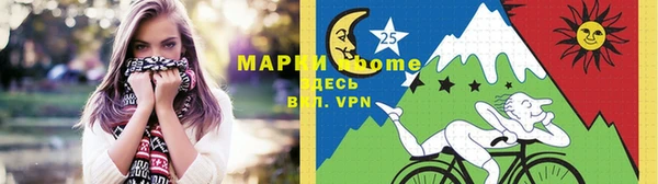 дживик Каменка