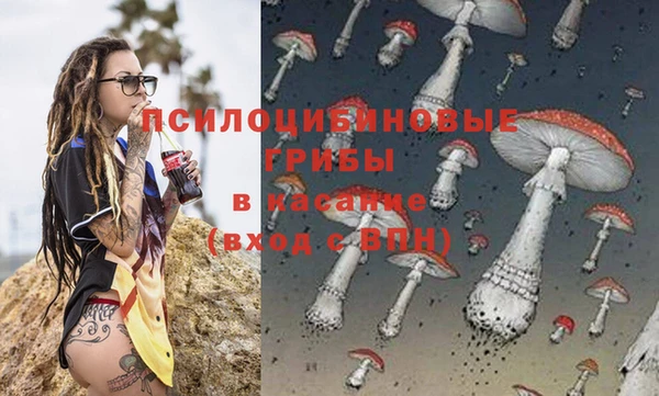круглые Каменногорск
