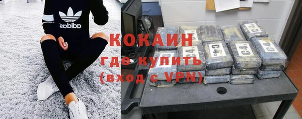 дживик Каменка