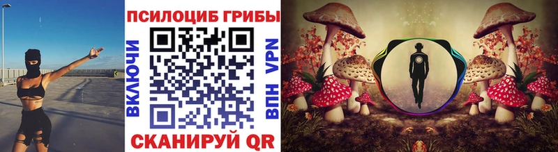 Купить где  Новоалтайск  Псилоцибиновые грибы MAGIC MUSHROOMS 
